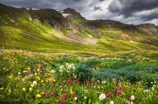 American Basin-2678 American Basin-2678